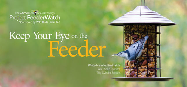 We're Sponsoring Project FeederWatch & BirdSpotter Photo Contest