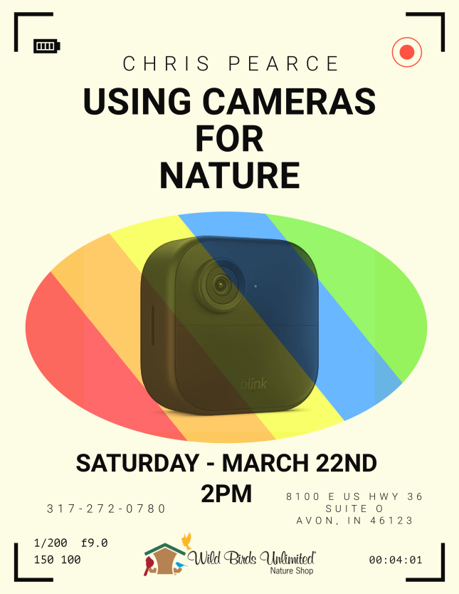 using cameras in nature