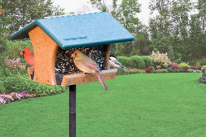 Wild Birds Unlimited EcoTough Classic Hopper Feeder